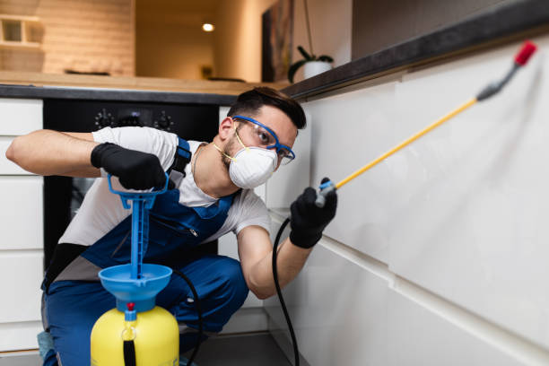 Best Wasp Removal Services  in Uhrichsville, OH