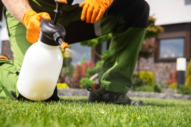 Best Pest Removal Services  in Uhrichsville, OH