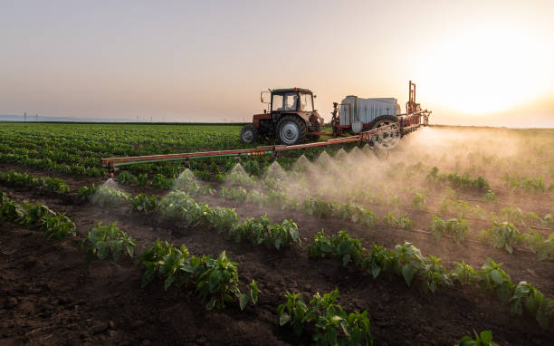Best Commercial Pest Control Services  in Uhrichsville, OH