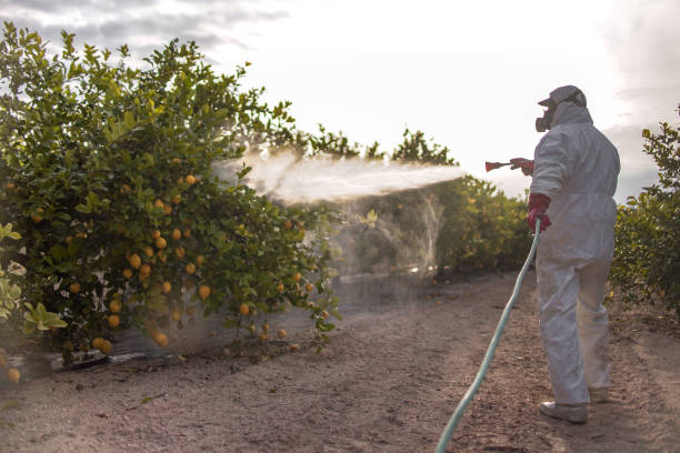 Best Pest Control Treatment  in Uhrichsville, OH