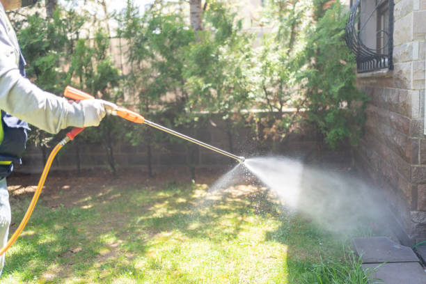 Best Local Pest Control Services  in Uhrichsville, OH
