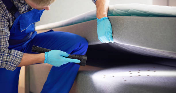 Best Residential Pest Control  in Uhrichsville, OH