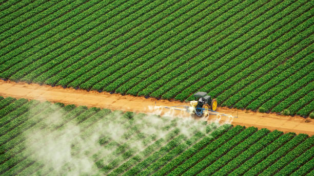 Professional Pest Control in Uhrichsville, OH