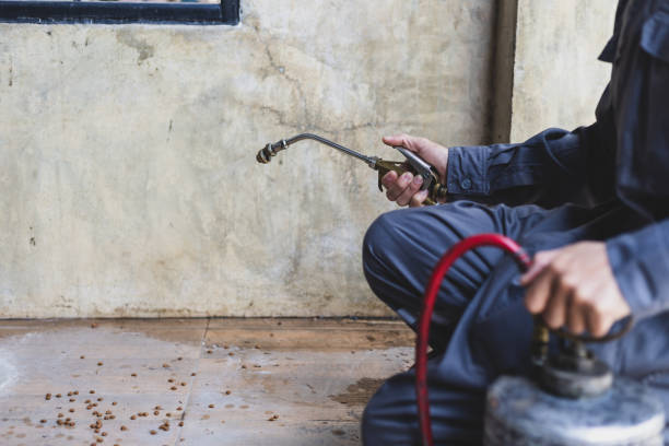 Best Pest Removal Services  in Uhrichsville, OH
